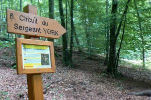 Argonne-Meuse Region: Chatel Chehery Forest--Sergeant York Trail