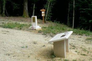 Argonne-Meuse Region: Chatel Chehery Forest--Sergeant York Trail