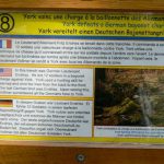 Argonne-Meuse Region: Chatel Chehery Forest--Sergeant York Trail