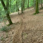 Argonne-Meuse Region: Chatel Chehery Forest--Sergeant York Trail