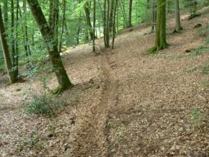 Argonne-Meuse Region: Chatel Chehery Forest--Sergeant York Trail