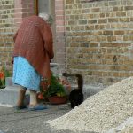 Argonne-Meuse Region: Cornay Village resident feeding her cat