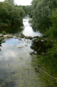 Argonne-Meuse Region: Fleville Village, Aire River