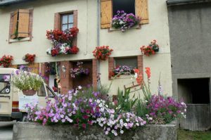 Argonne-Meuse Region: Fleville Village flowers