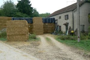 Argonne-Meuse Region: Somerance Village