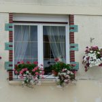 Romagne-sous-Montfaucon house with window flowers