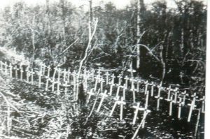 Meuse-Argonne Region: vintage photo of temporary graves of recently killed