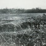 Meuse-Argonne Region: vintage photo of temporary graves of recently killed
