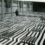 Meuse-Argonne Region: vintage photo of coffins from the Meuse-Argonne American