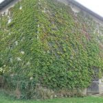 St George house and barn; hay can be seen stored