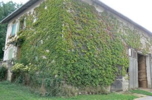 St George house and barn; hay can be seen stored