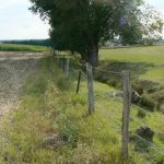 A ditch along the St Juvin-St George road. An old