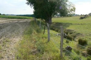 A ditch along the St Juvin-St George road. An old