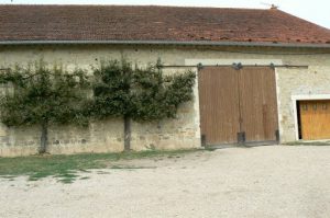 Argonne-Meuse Region: Village of Chevieres barn