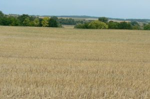 Argonne-Meuse Region: Village of Marcq fields. Today's smooth fields and