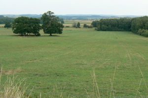 Argonne-Meuse Region: Village of Le Morthomme, a fitting name for