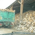 Argonne-Meuse Region: Village of Le Morthomme has one commercial business--firewood