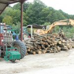 Argonne-Meuse Region: Village of Le Morthomme has one commercial business--firewood