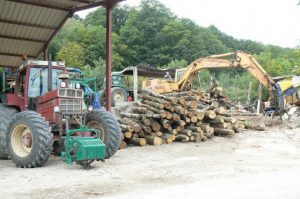 Argonne-Meuse Region: Village of Le Morthomme has one commercial business--firewood