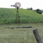 Windmill and corn crop along  the St Juvin-St Georges road.