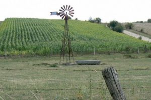 Windmill and corn crop along  the St Juvin-St Georges road.