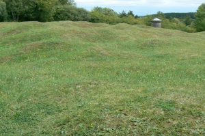 Adjacent to the French National Cemetery are some acres of