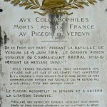 Dedication to the pigeons of Verdun who carried messages of