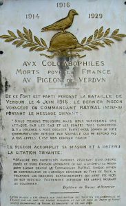Dedication to the pigeons of Verdun who carried messages of