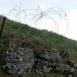 Original barbed-wire from the Vaux battle