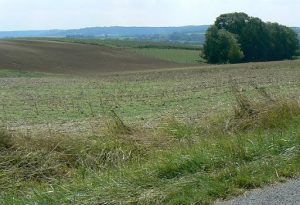 Peaceful rolling hills belie the deadly force  and blood on