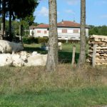 Argonne-Meuse Region: near Sivry-sur-Meuse Village