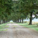 Argonne-Meuse Region: above Sivry-sur-Meuse Village on a high hill called