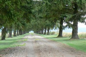 Argonne-Meuse Region: above Sivry-sur-Meuse Village on a high hill called