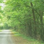 Country road in the Meuse River valley