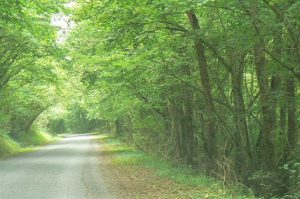 Country road in the Meuse River valley