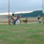 Bicycles were a theme decoration in the area of the