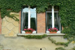 Nearly all restored homes in the Meuse-Argonne region have window