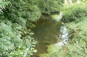 The small St Georges River flows through the village