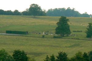 Looking south over the small St George cemetery. It was