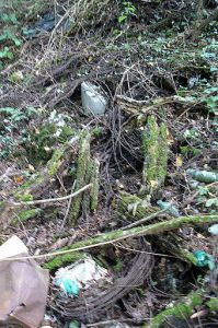 Discarded coils of barbed wire in the ravine; possibly from