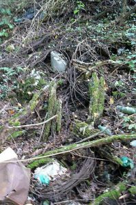 Discarded coils of barbed wire in the ravine; possibly from