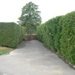 Entrance to the St George cemetery