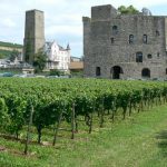 Rudesheim village and orchard