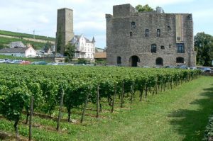 Rudesheim village and orchard