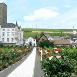 Rudesheim village