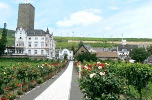 Rudesheim village