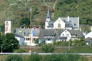 Germanic style village and flags