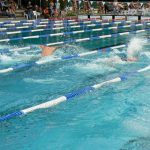 Men's butterfly race