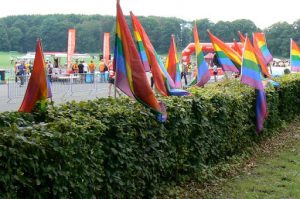 Rainbow flags adorn the start-finish line for runners