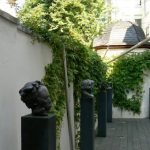 Back garden of Beethoven's birthplace